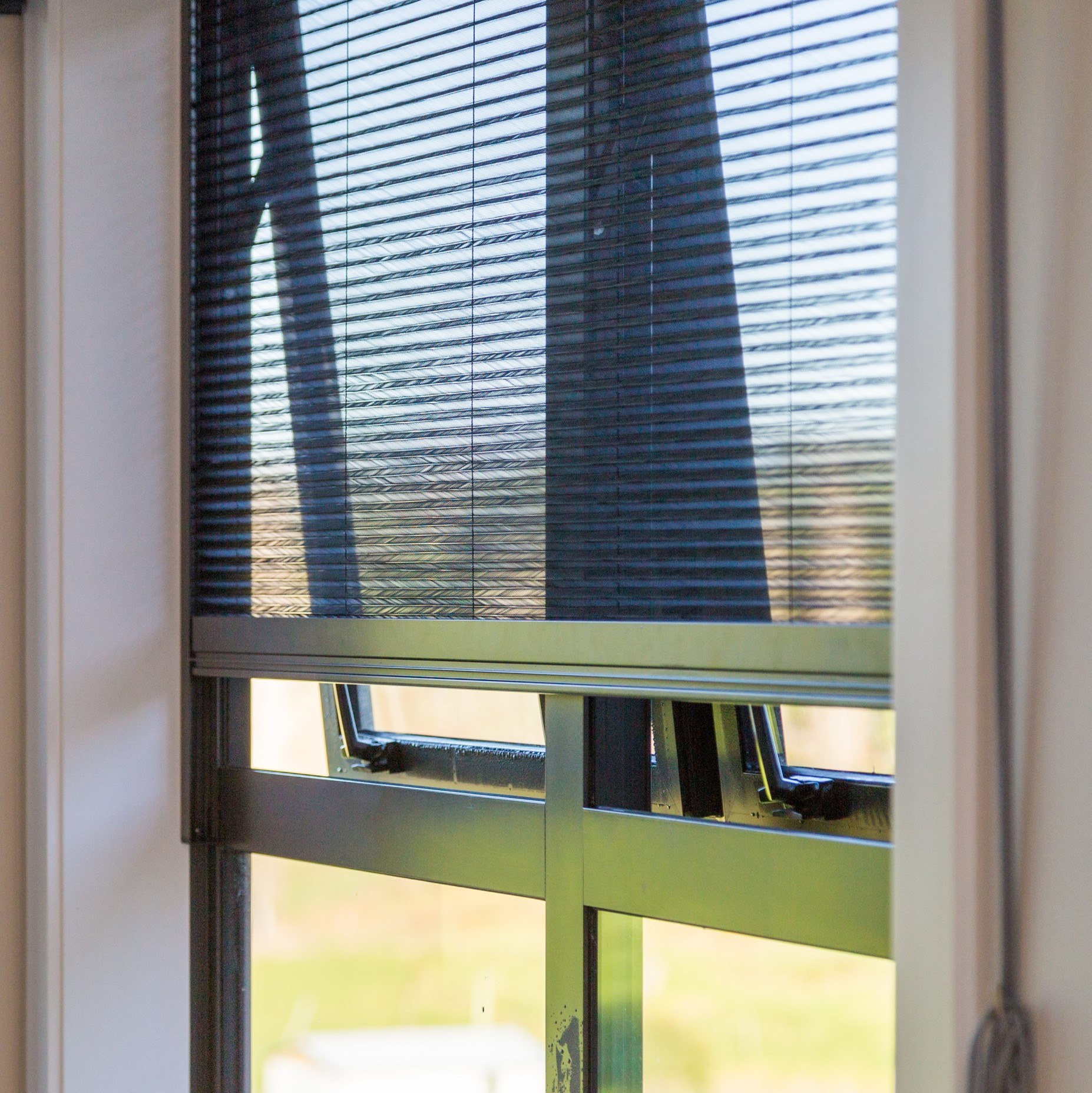 Exceed • Retractable insect screen for windows